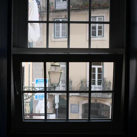 Graça Cozy